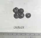 Click for 1 image(s) for this accession. FRUIT